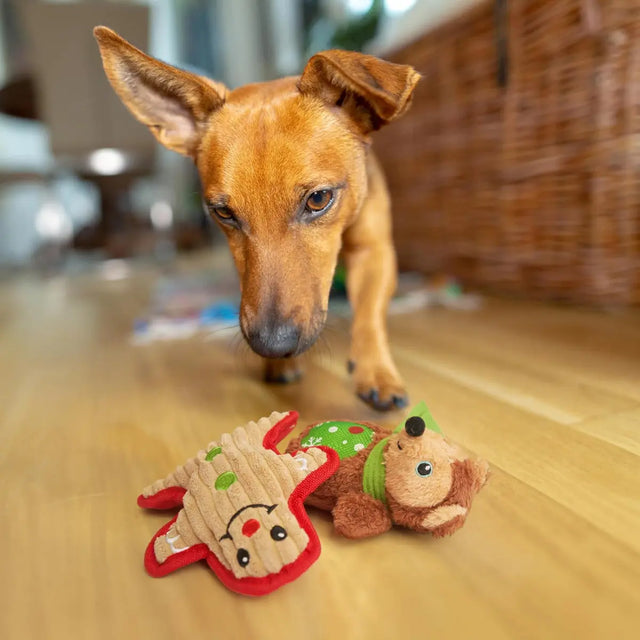 Hundespielzeug Weihnachten 6 Stück von Twiddlers