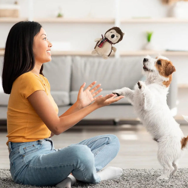 Hundespielzeug Weihnachten 6 Stück von Twiddlers