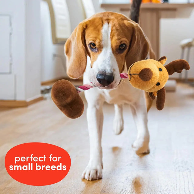 Hundespielzeug Weihnachten 6 Stück von Twiddlers