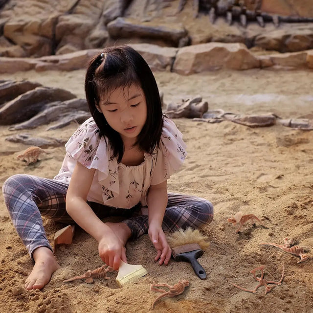 Dinosaurier Fossilien Spielfiguren von Twiddlers