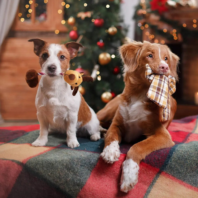 Hundespielzeug Weihnachten 6 Stück von Twiddlers
