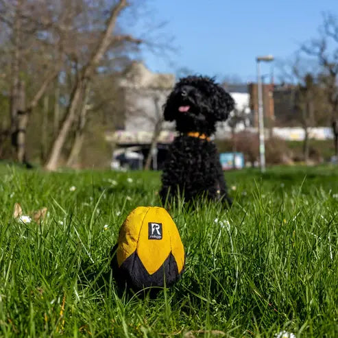 Aktivspielzeug Schnüffelei von Redoggo