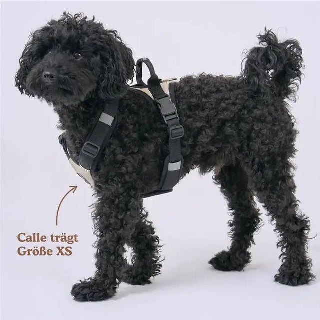 Hundegeschirr Schwarz XS von Redoggo