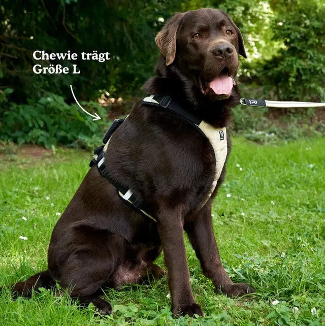 Hundegeschirr Schwarz L von Redoggo