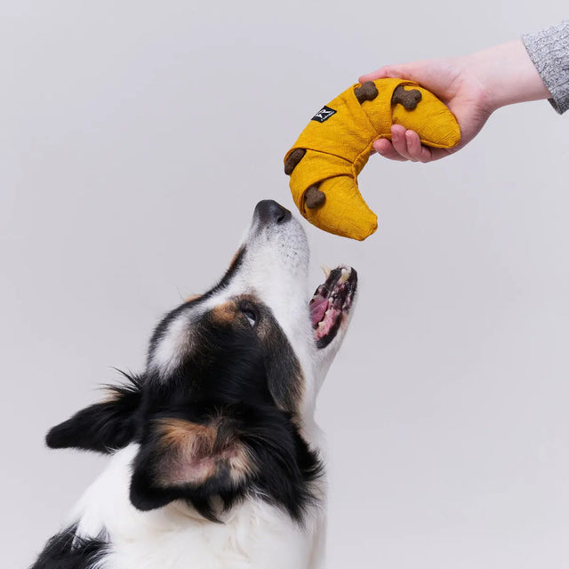 Schnüffelspielzeug mit Leckerli Taschen von Redoggo