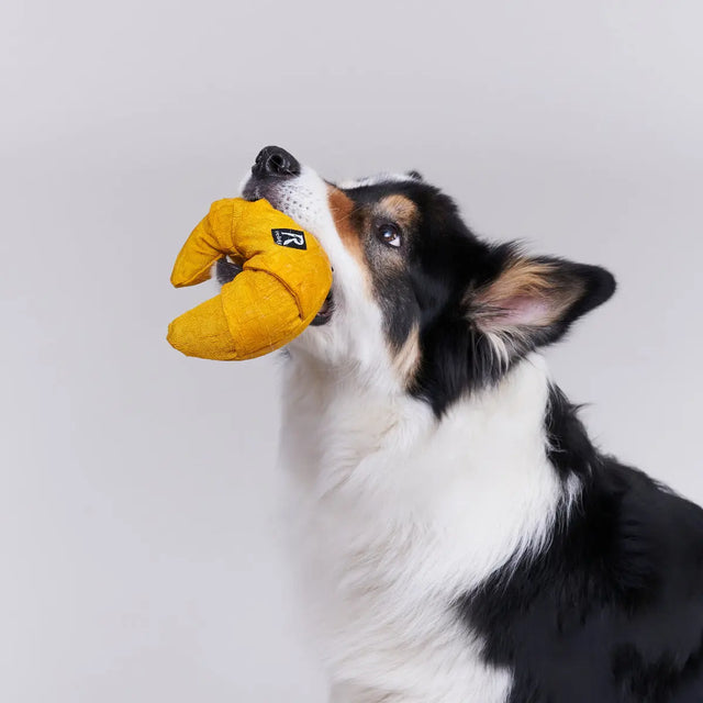 Schnüffelspielzeug mit Leckerli Taschen von Redoggo