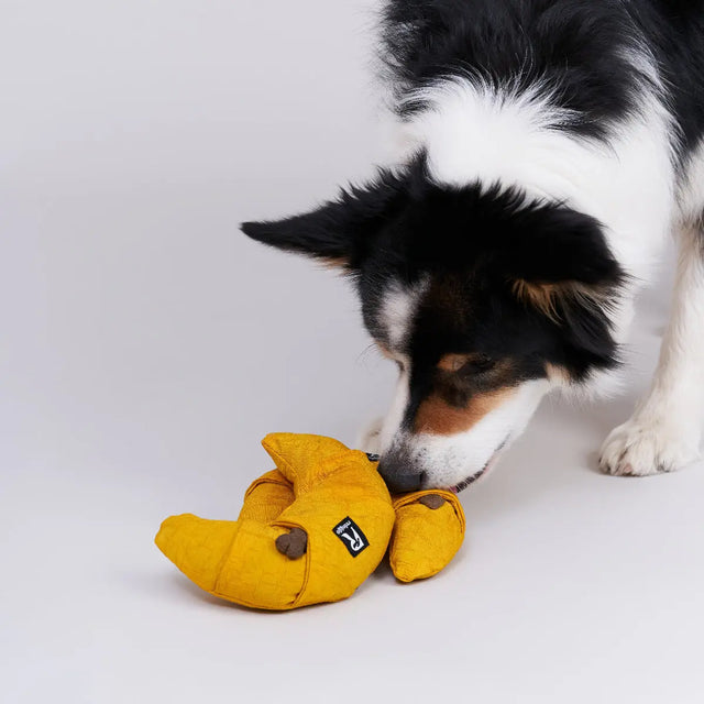 Schnüffelspielzeug mit Leckerli Taschen von Redoggo