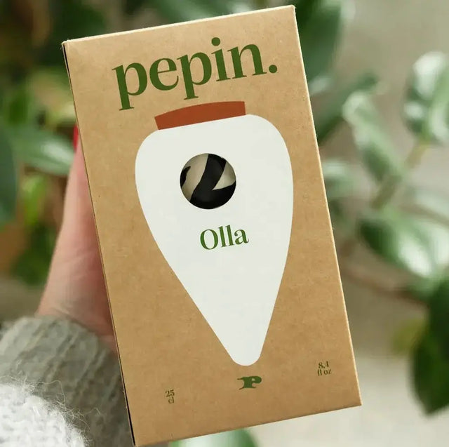 Bewässerungskegel Olla Zebra von Pepin