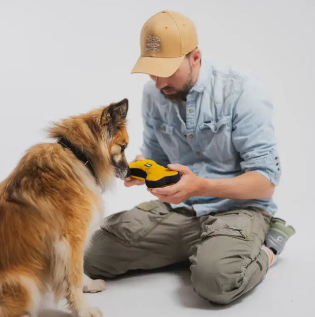 Aktivspielzeug Knochen S von Redoggo