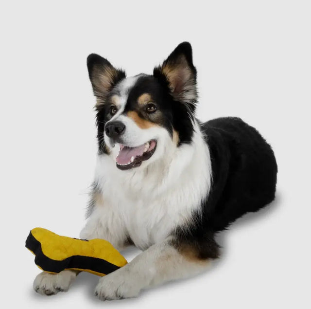 Aktivspielzeug Knochen S von Redoggo