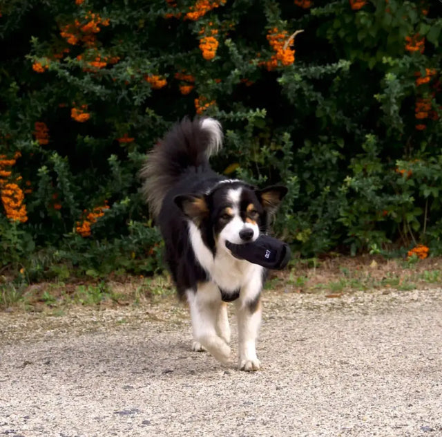 Futterdummy von Redoggo