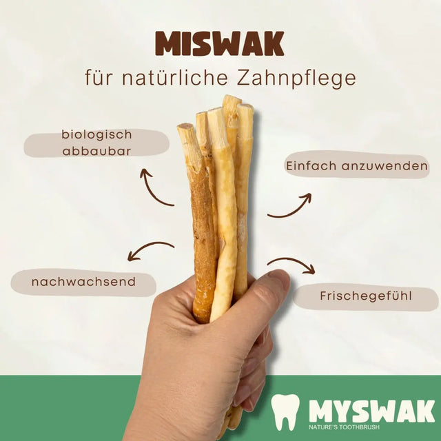Miswak Zahnputzholz 4 Stück + Reisehülle von MYSWAK