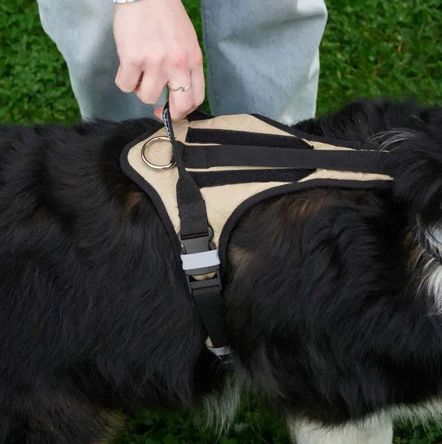 Hundegeschirr Schwarz M von Redoggo