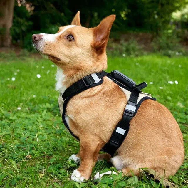 Hundegeschirr Schwarz S von Redoggo