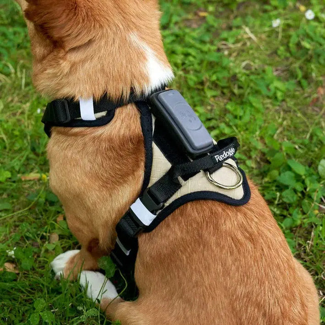 Hundegeschirr Schwarz S von Redoggo