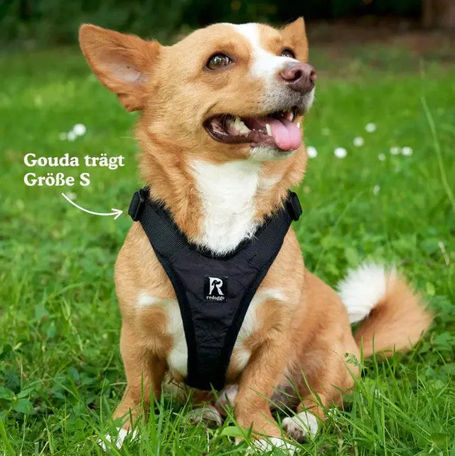 Hundegeschirr Schwarz S von Redoggo