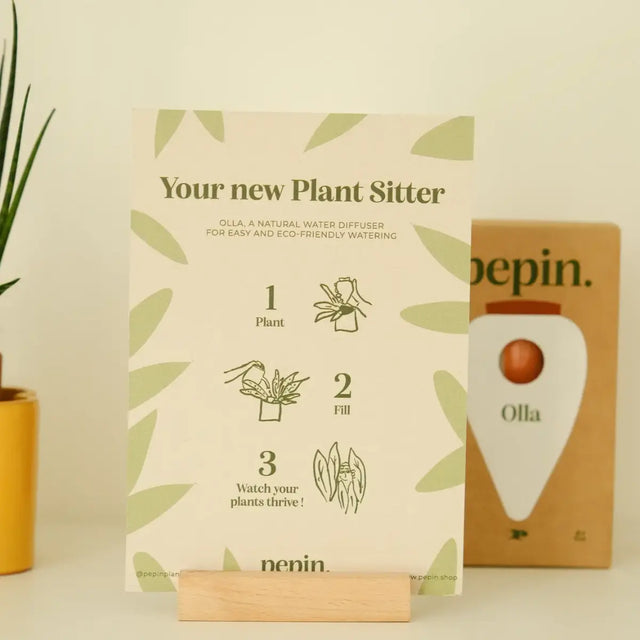 Bewässerungskegel Mini Ollas 3er Set von Pepin