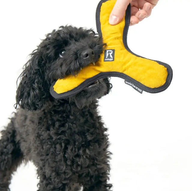 Aktivspielzeug Bumerang von Redoggo