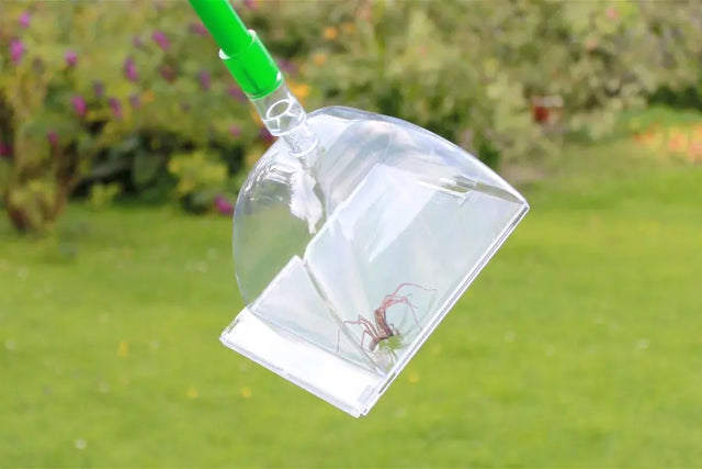 Insektenfänger Big Bug von Katcha