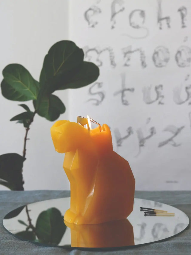 PyroPet Kisa Schwarz von 54Celsius