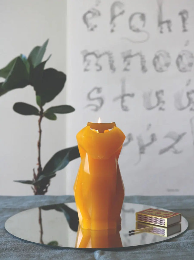 PyroPet Kisa Schwarz von 54Celsius