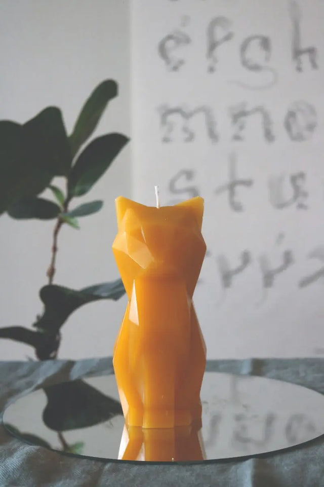 PyroPet Kisa Schwarz von 54Celsius