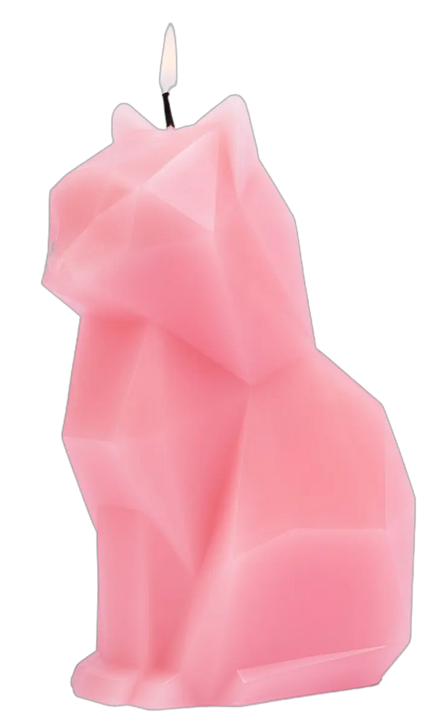 PyroPet Kisa Schwarz von 54Celsius