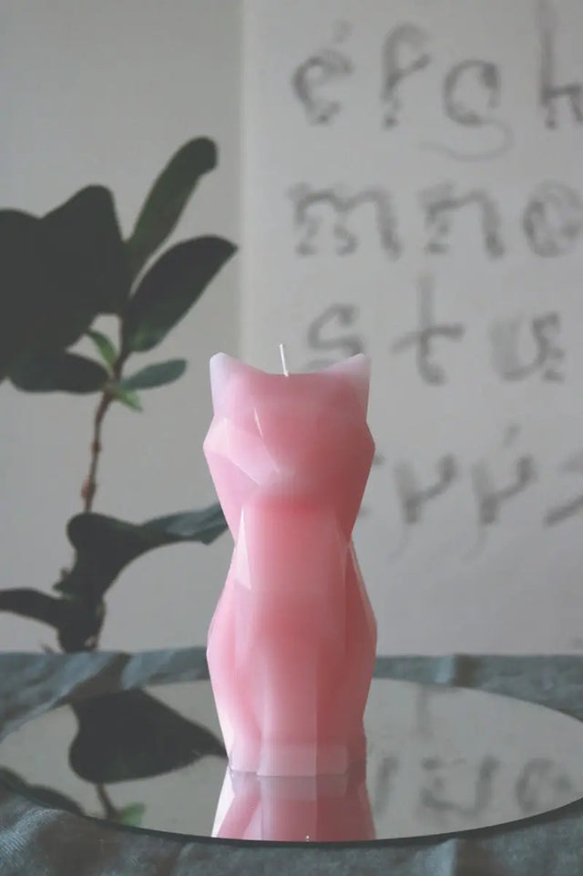 PyroPet Kisa Schwarz von 54Celsius