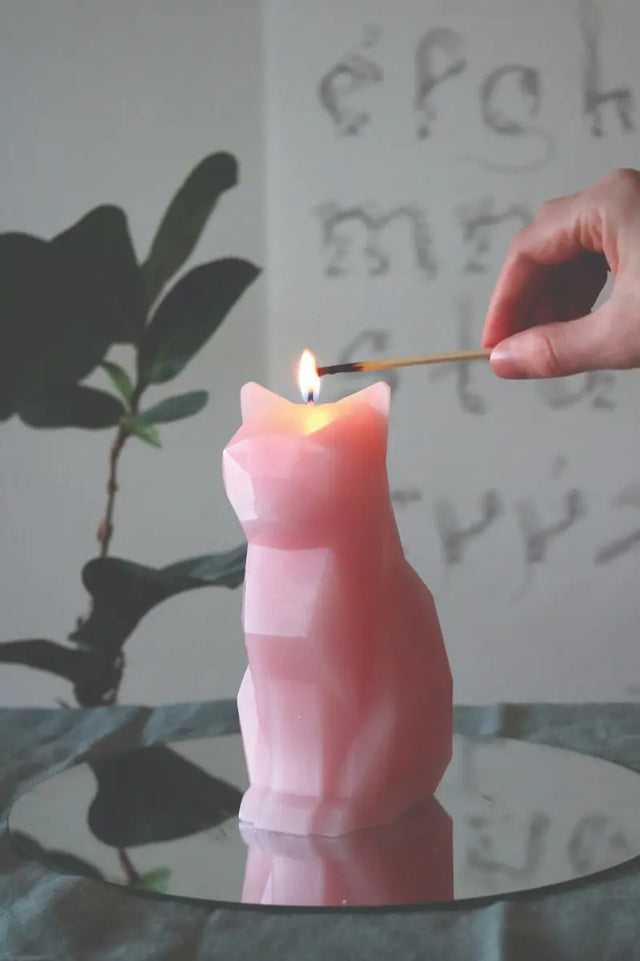 PyroPet Kisa Schwarz von 54Celsius