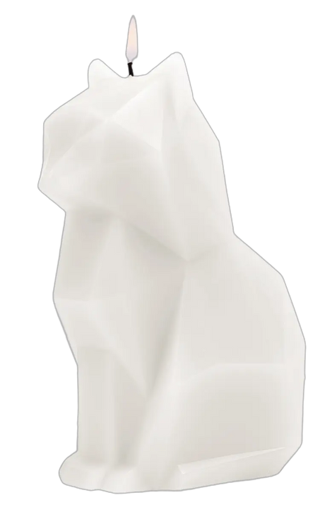 PyroPet Kisa Schwarz von 54Celsius