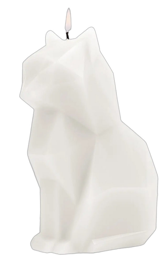 PyroPet Kisa Schwarz von 54Celsius