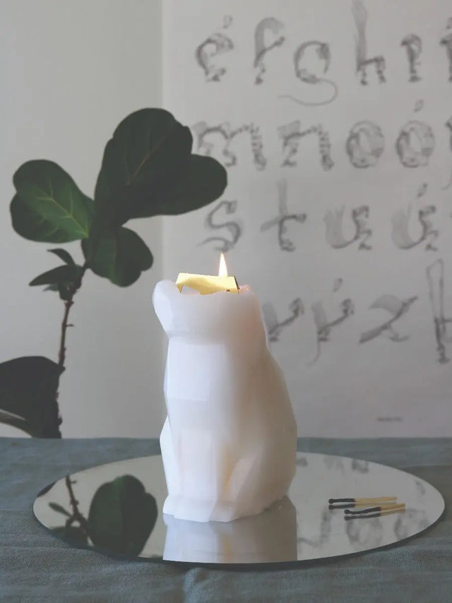 PyroPet Kisa Schwarz von 54Celsius