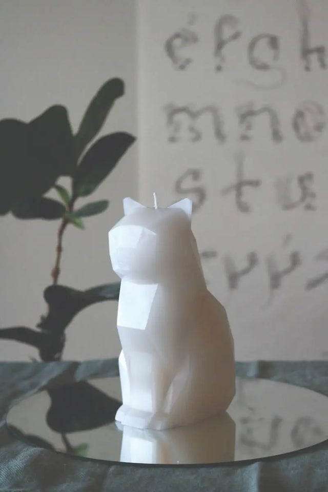 PyroPet Kisa Schwarz von 54Celsius