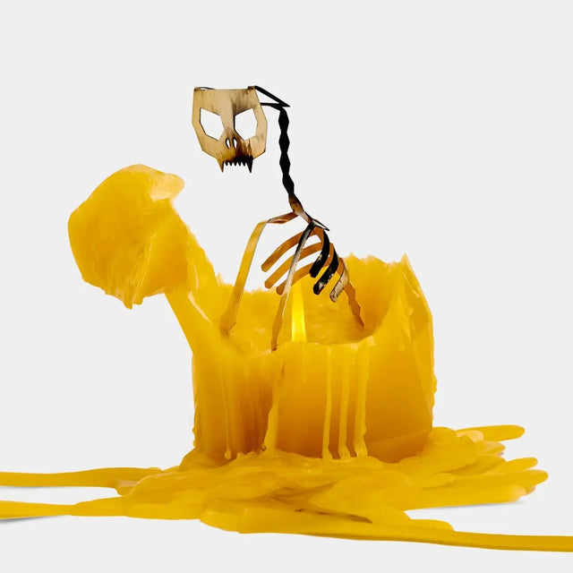 PyroPet Kisa Schwarz von 54Celsius