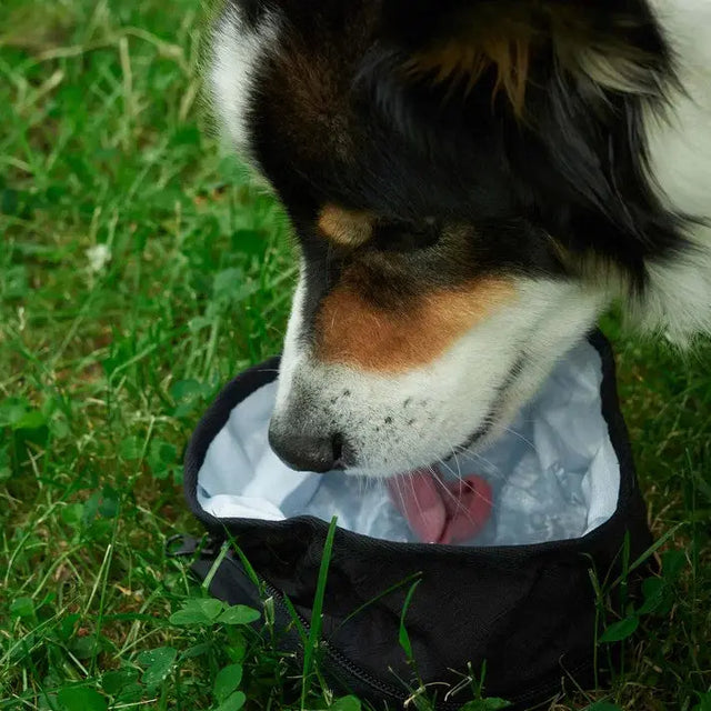 Faltbarer Hundenapf von Redoggo