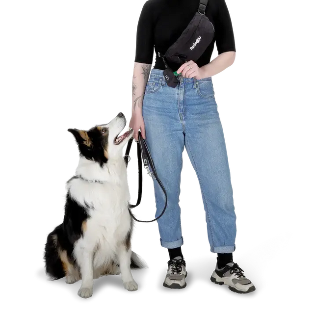 Kotbeutelspender von Redoggo