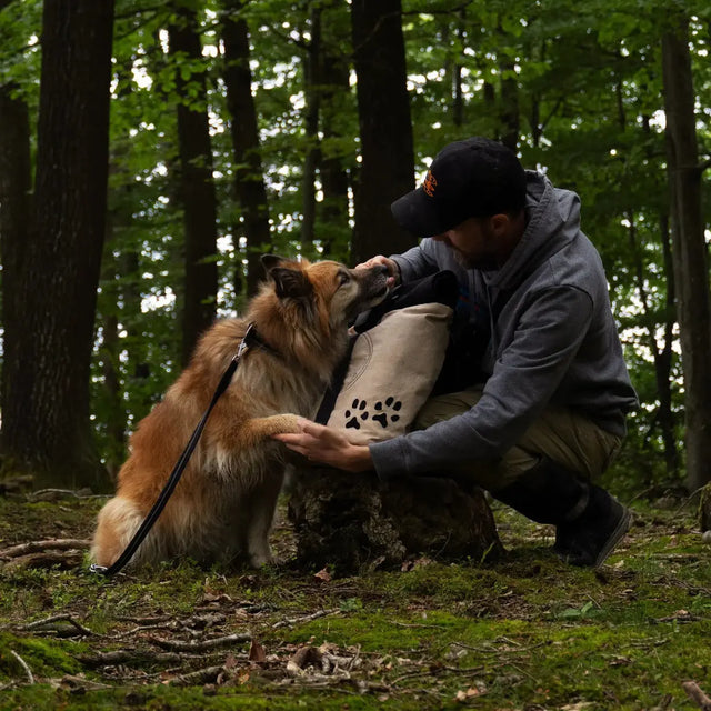 Rucksack Rolltop Bina Pfote von Redoggo