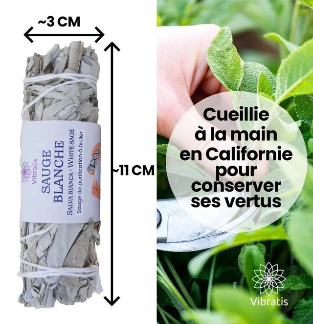 Weisser Salbei Sage ca. 40 g von Vibratis