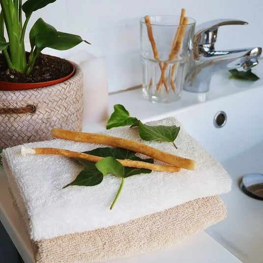 Miswak Natürliche Zahnbürste 12er-Pack von Orinko