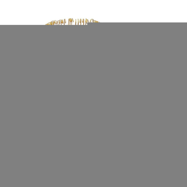 Matcha Löffel Chashaku von Matcha Passion