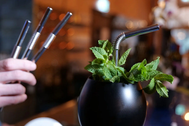 Edelstahl Trinkhalme Biegbar Silber 4er Set 22cm von Turtleneck Straw