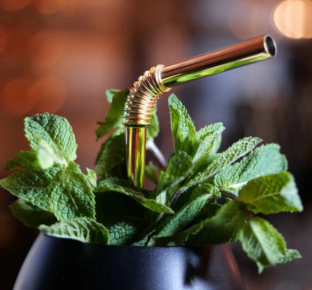 Edelstahl Trinkhalme Biegbar Gold 12er Set 22cm von Turtleneck Straw