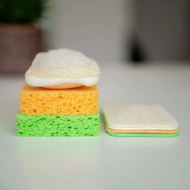 Popup Schwämme von Washo