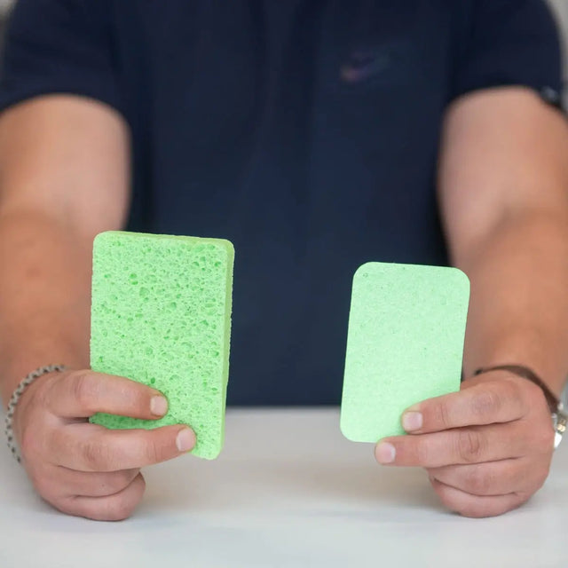 Popup Schwämme von Washo