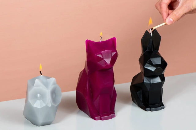 PyroPet Kisa Schwarz von 54Celsius