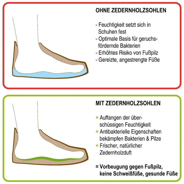 Zedernholzsohlen Damen Einlegesohlen gegen Schweissfüsse 37 EU von Nawemo
