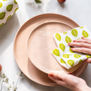 Haushaltspapier & Putzlappen