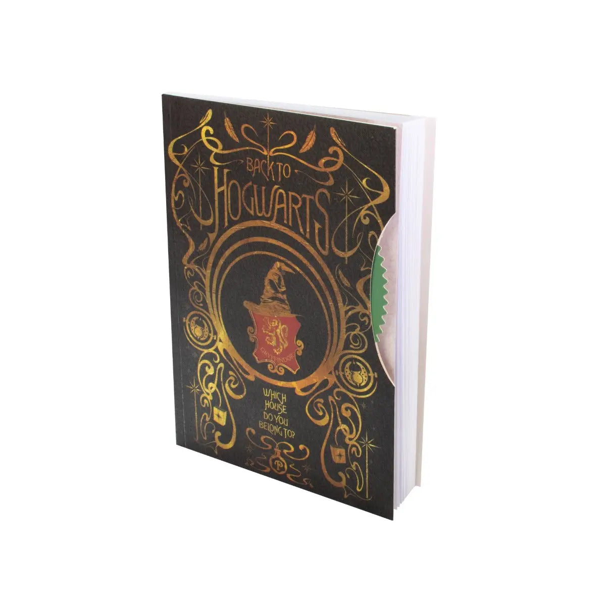 Notizbuch Spinner von Harry Potter
