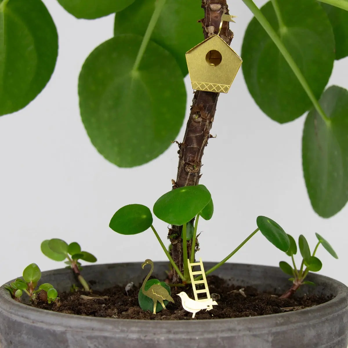 Mini-Vogelhaus für Pflanzentöpfe Tiny Birdhouse Gold von Botanopia