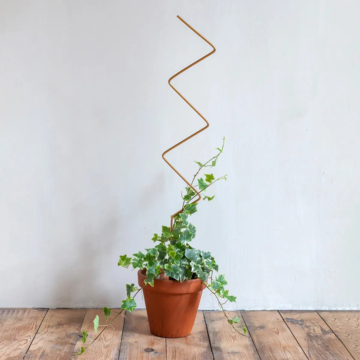 Rankhilfe Zig-Zag Gold von Botanopia